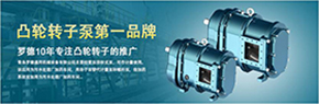 羅德轉(zhuǎn)子泵與南方某電機(jī)廠家技術(shù)交流，討論合作.